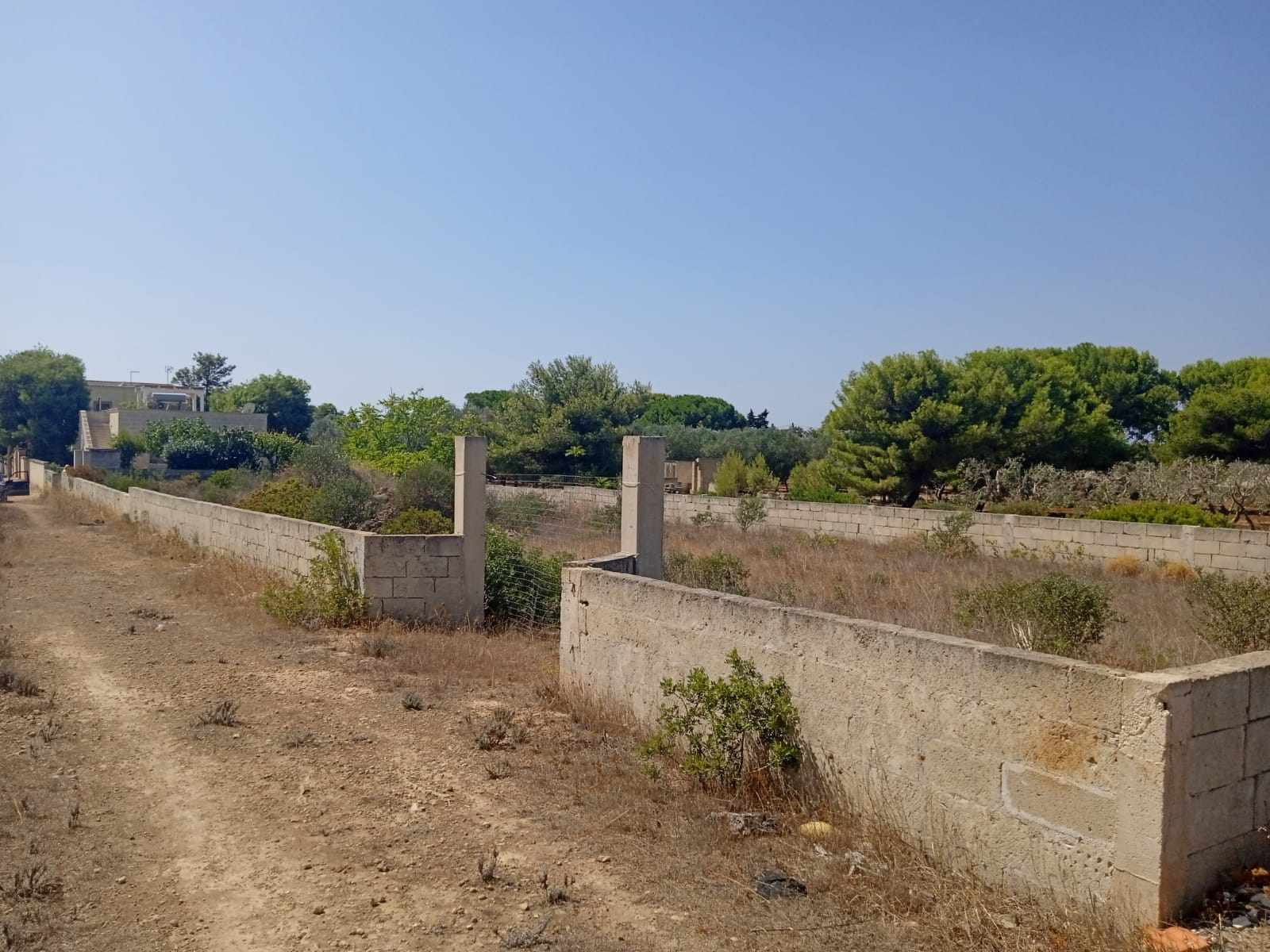 Terreno agricolo a Manduria
