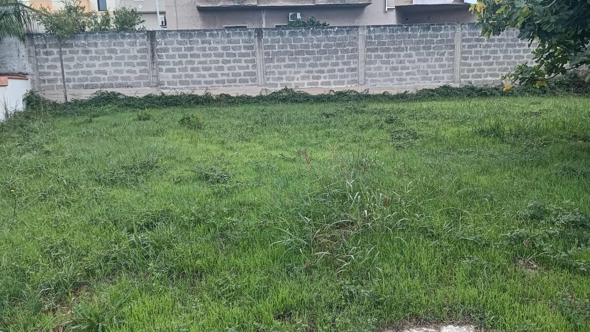 Terreno con Servizi a Roccaforzata