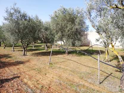Terreno di 2000 mq a San Giorgio Ionico